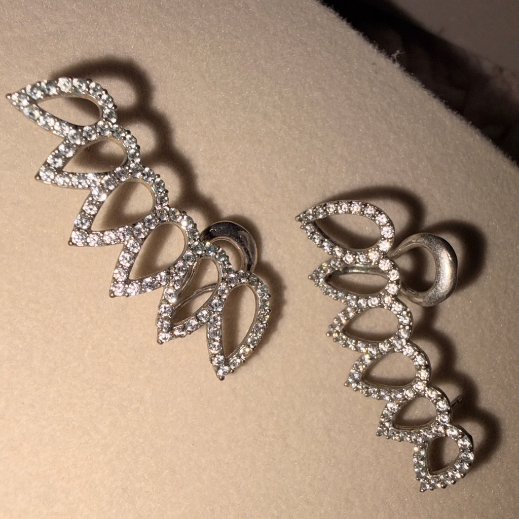 Noir Silver And Crystal Creeper Earrings 20$